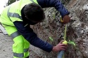 Farba geodezyjna Soppec Track Marker żółta 500 ml